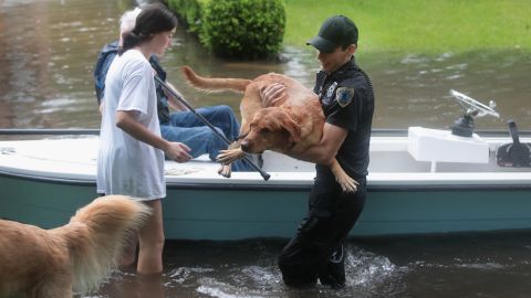 Volunteers and officers from a neighborhood security patrol help rescue residents and their dogs in the River Oaks neighborhood after it was inundated with flooding on August 27, 2017 in Houston.