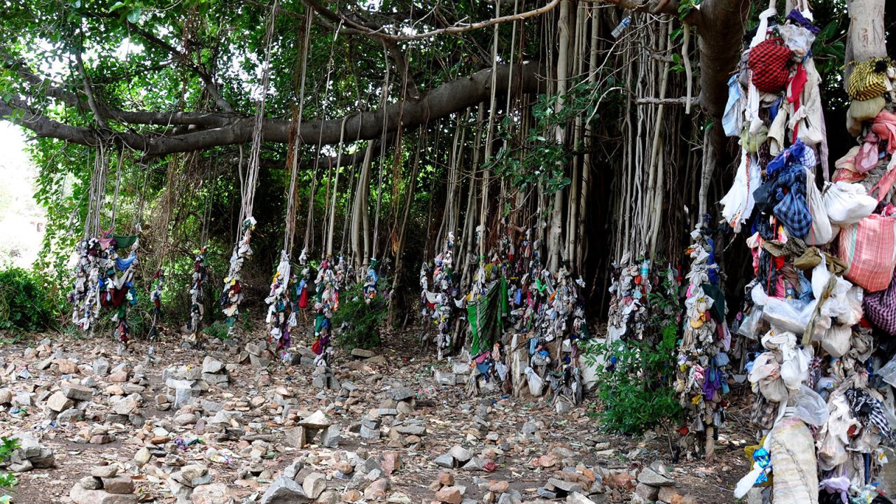 <strong>Banyan trees:</strong> Banyan trees, or vat-vriksha, are considered sacred by Hindus. Many believe they can even fulfill wishes. Here, villagers praying for children tie cloth bundles from the tree's branches  while others arrange piles of rocks beneath its bough, for houses.  