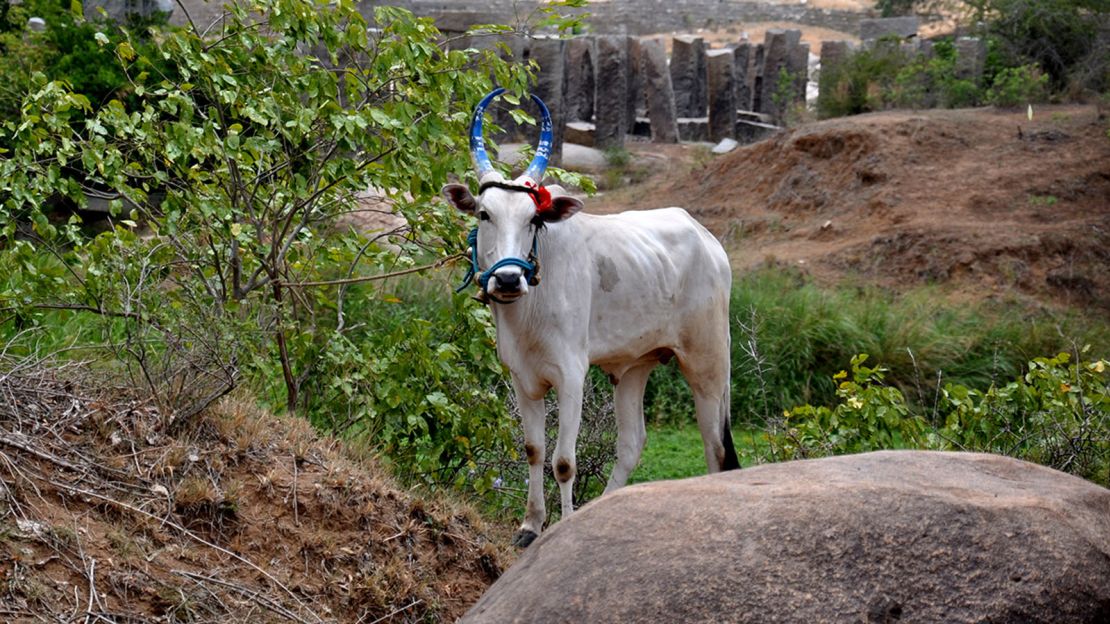 Discovering the majesty of Hampi can easily take a few days.