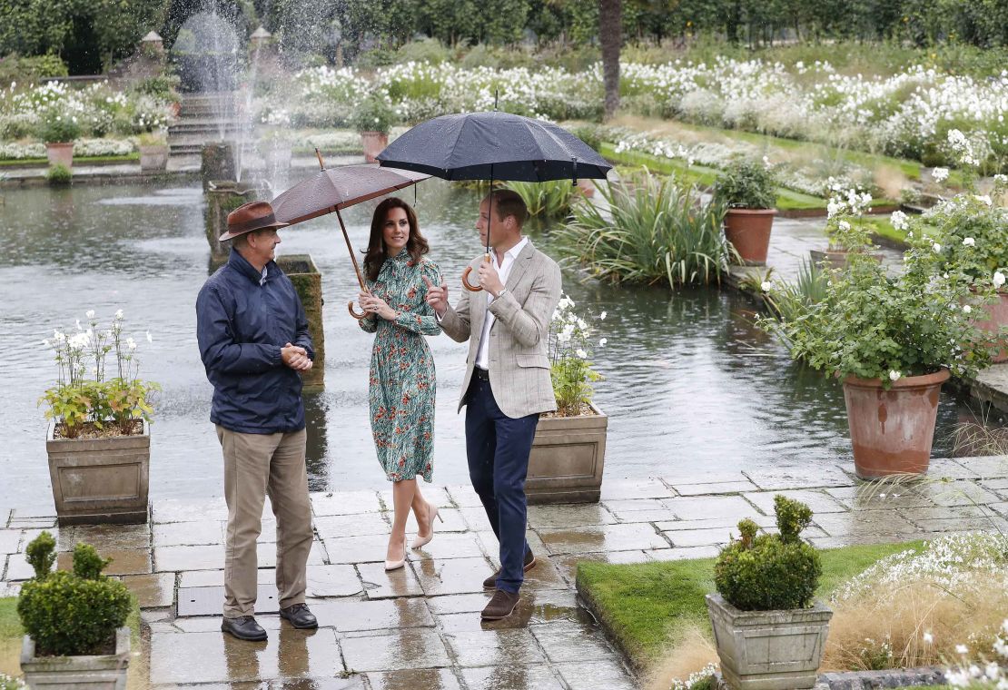 Princes William and Harry paid tribute to their mother on the eve of the 20th anniversary of her death by visiting the Sunken Garden to honor her work with charities. 