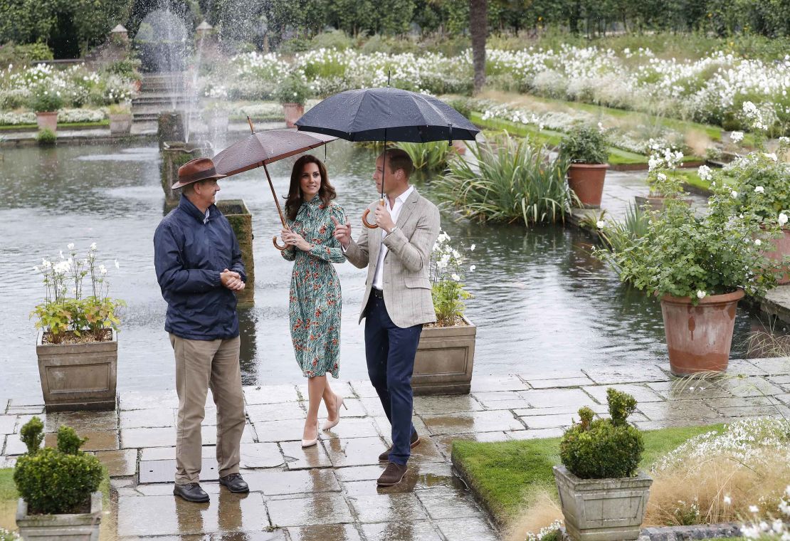 Princes William and Harry paid tribute to their mother on the eve of the 20th anniversary of her death by visiting the Sunken Garden to honor her work with charities.
