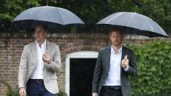 LONDON, ENGLAND - AUGUST 30: (L-R) , Prince William, Duke of Cambridge and Prince Harry are seen during a visit to The Sunken Garden at Kensington Palace on August 30, 2017 in London, England.  The garden has been transformed into a White Garden dedicated in the memory of Princess Diana, mother of The Duke of Cambridge and Prince Harry.  (Photo by Kirsty Wigglesworth- WPA Pool/Getty Images)