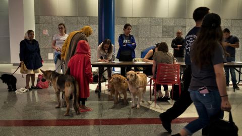 Evacuees have been able to bring their pets to a temporary shelter in downtown Houston's George R. Brown Convention Center, which has more than 10,000 people.