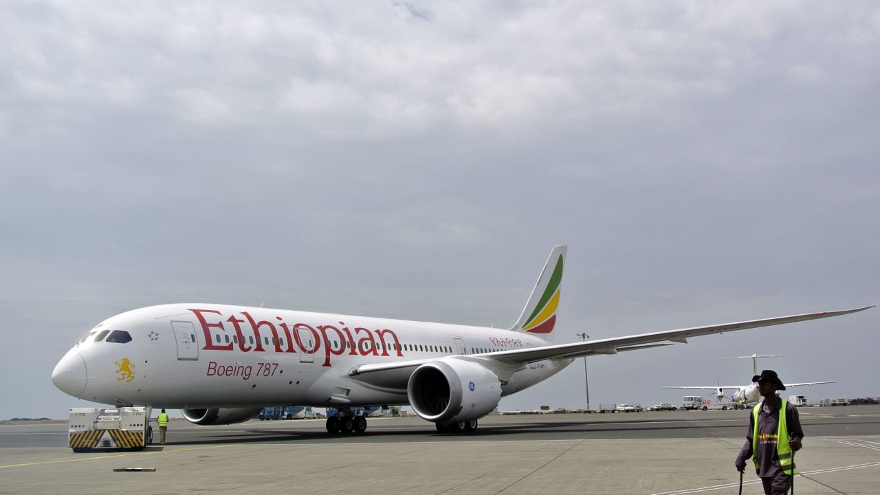 An Ethiopian Airlines Dreamliner jet. The company has enjoyed rapid growth in recent years.
