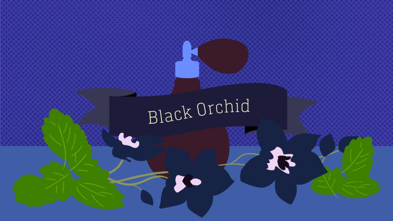 The "green floral fragrance" of Black Orchid is popular in Asia Pacific regions. 