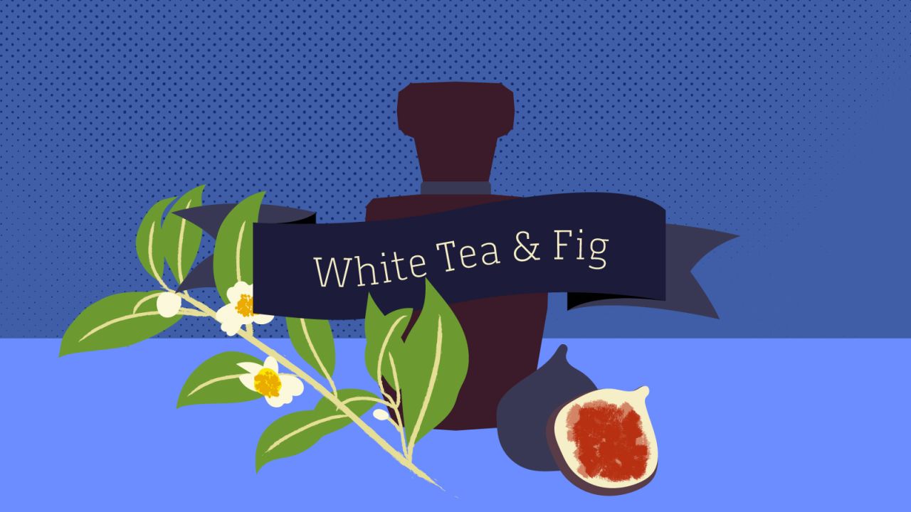 White Tea & Fig is the most popular fragrance with Zodiac's customers worldwide. 