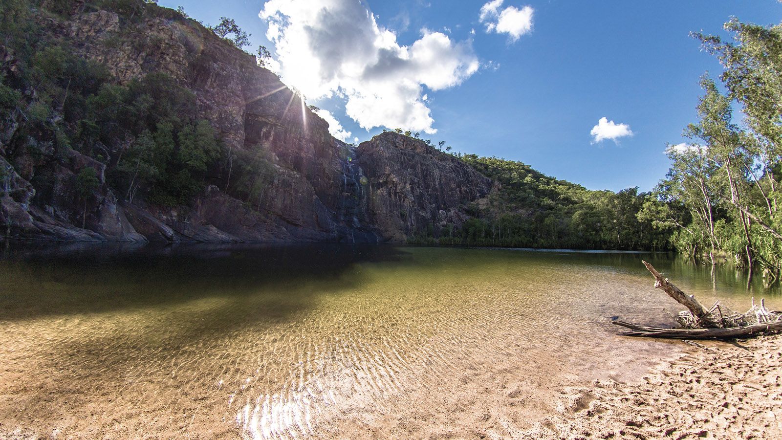 can you take dogs into kakadu