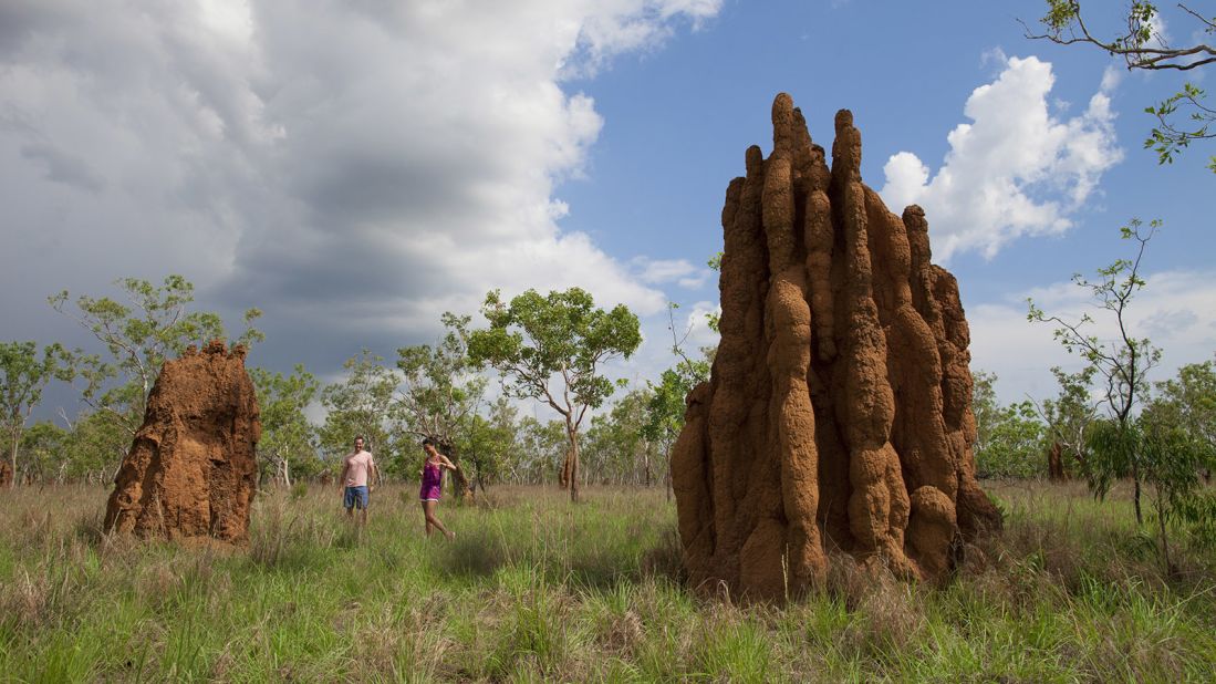 <strong>Gigantic termite mounds: </strong>Termite mounds in Kakadu National Park can stand up to six meters tall. Most of them can be found in Maguk, the southern part of the park.