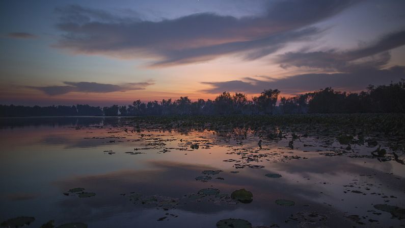 <strong>Yellow Water Billabong: </strong>Kakadu has two major wetlands -- Yellow Water (pictured here) and Mamukala. About 30 different breeds of migratory birds stop by Kakadu each year. Snake-necked turtles and pig-nosed turtles can also be found in the area.