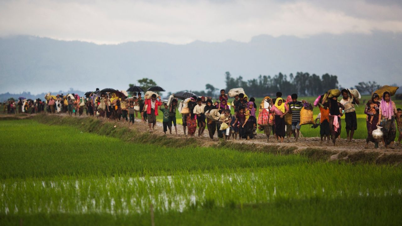 A stream of Rohingya people walk through rice fields after crossing over to the Bangladeshi side of the border on Friday.