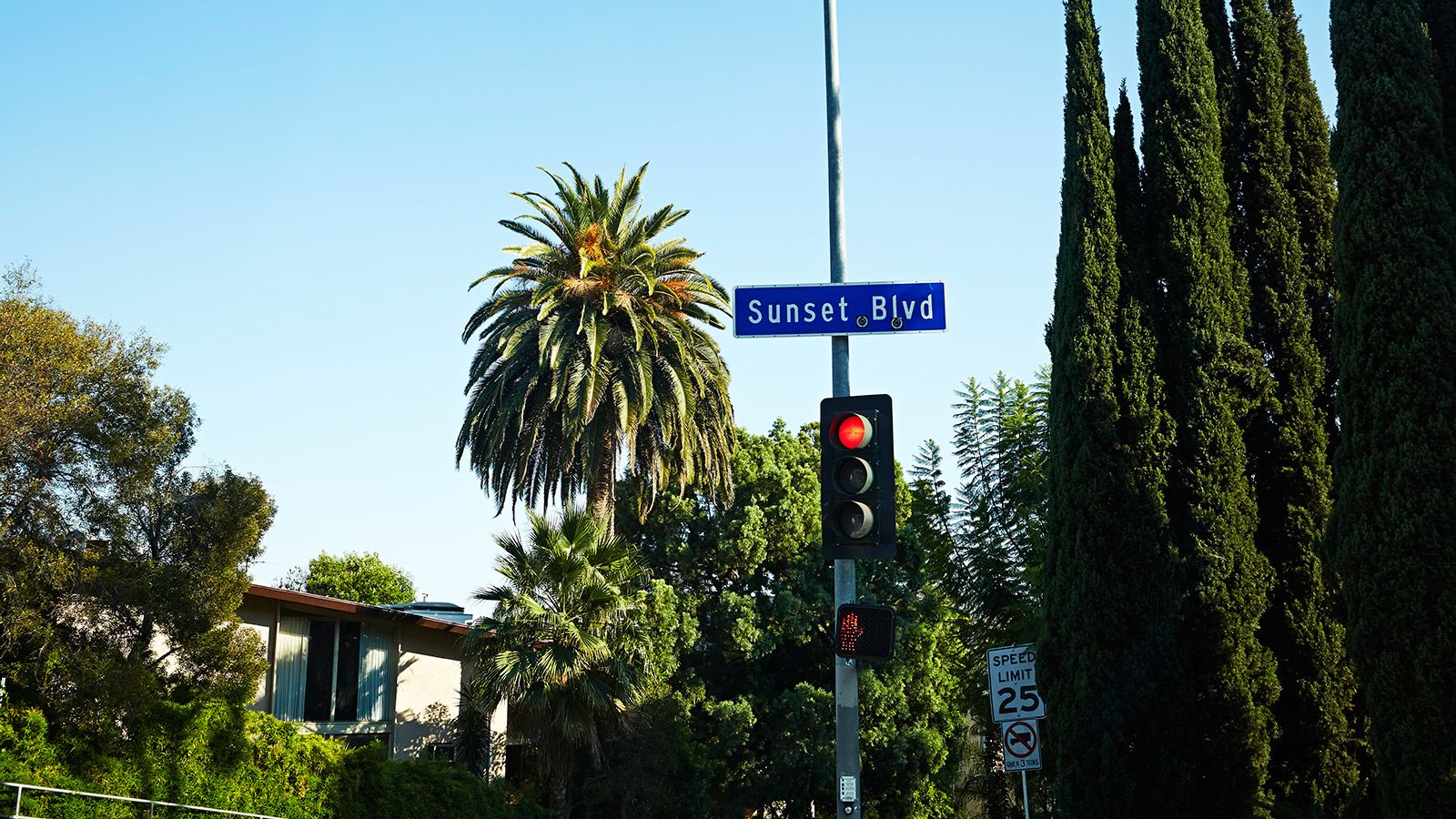Sunset Boulevard in Los Angeles - Visit One of The World's Most Famous  Shopping, Dining, and Nightlife Strips – Go Guides