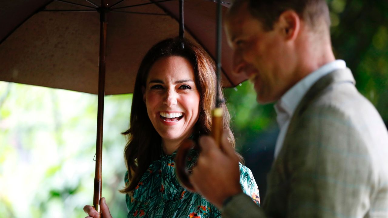 Kate joined William and Harry as they toured a new memorial garden in honor of their mother, Diana, last week.