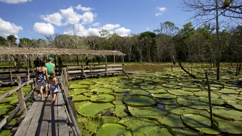 <strong>Welcome to the jungle:</strong> Explore the nearby Amazonian forest to see giant lily leaves and flowers.