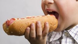 boy is biting a hotdog; Shutterstock ID 112094348; Job: -