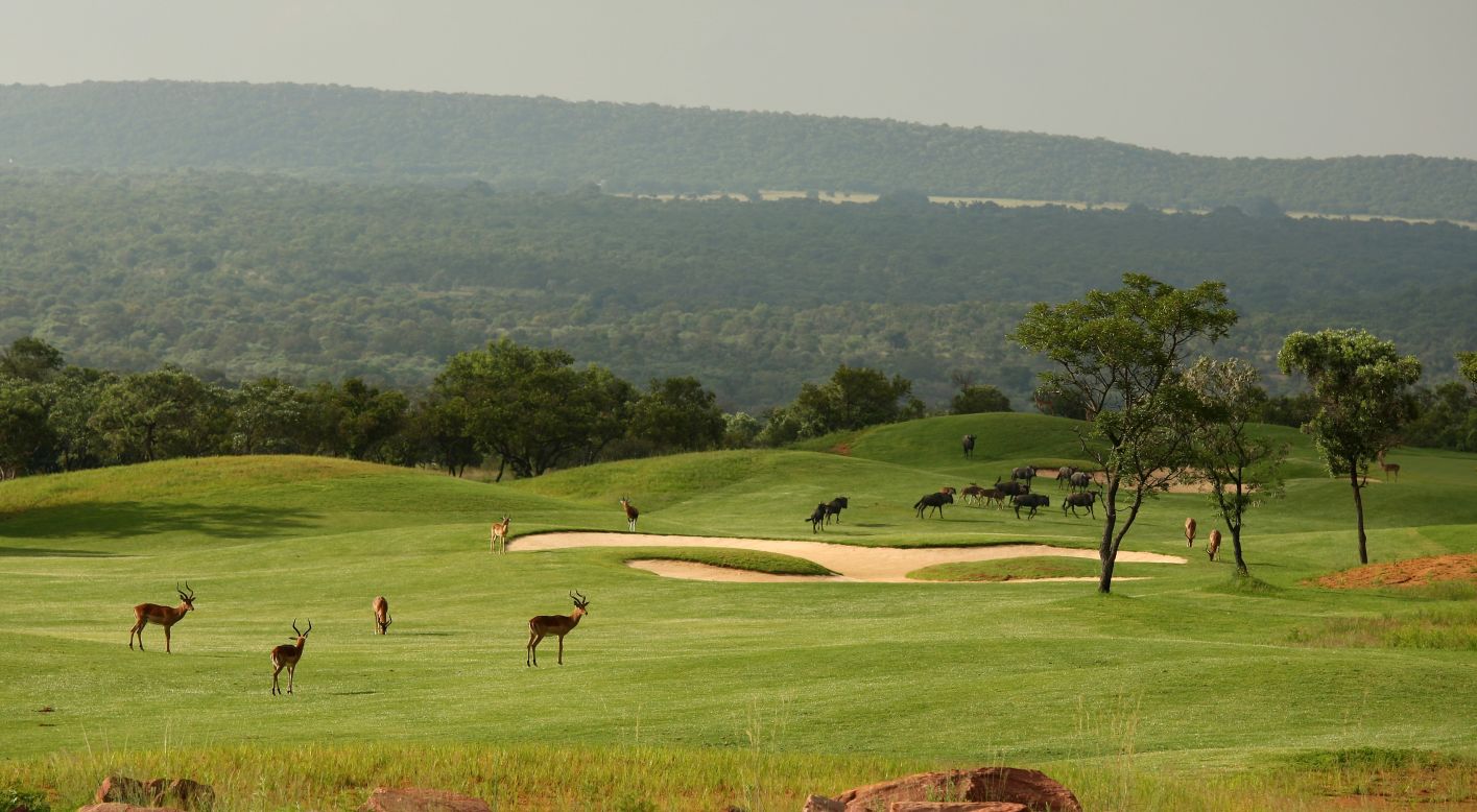 As well as a stunning landscape, wandering wildlife provides an added extra special ingredient to the course's attractions. Here impala and water buffalo roam across the seventh hole.