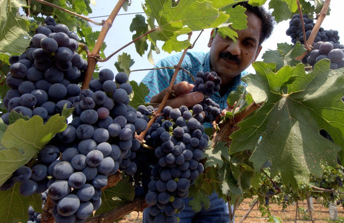 Grover Vineyards in Gundamgere -- some 36 miles north of Bangalore. 
