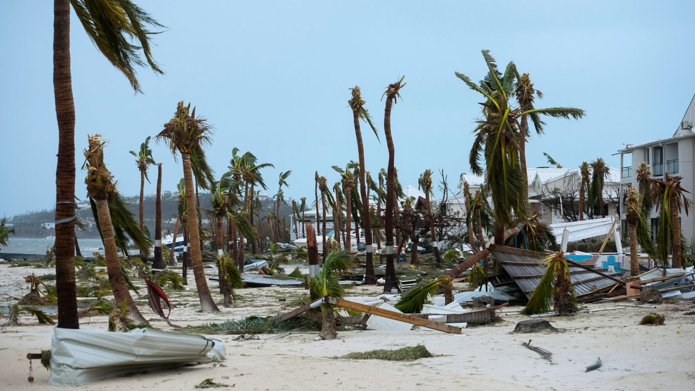 Broken palm trees are scattered on a Marigot beach on September 6.