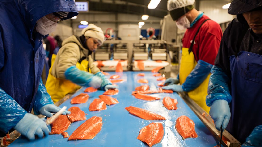 Alaska's fisheries supply nearly half of the world's supply of sockeye salmon.
