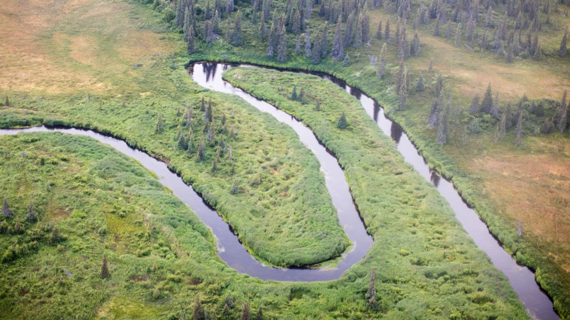 Part of the intricate watershed that connects Bristol Bay with the site of the proposed Pebble Mine.