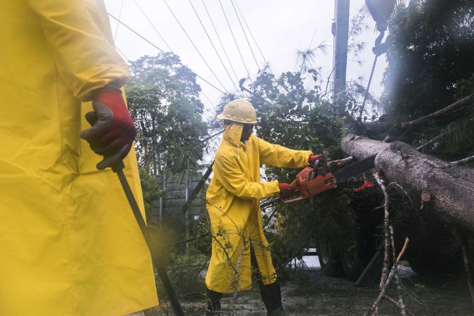 Employees from an electrical company work to clear a fallen tree in Sanchez, Dominican Republic.
