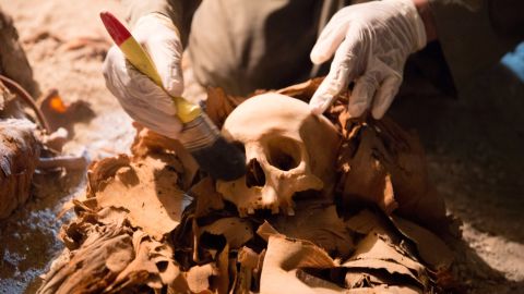Researchers discovered a number of skulls inside the tomb. 