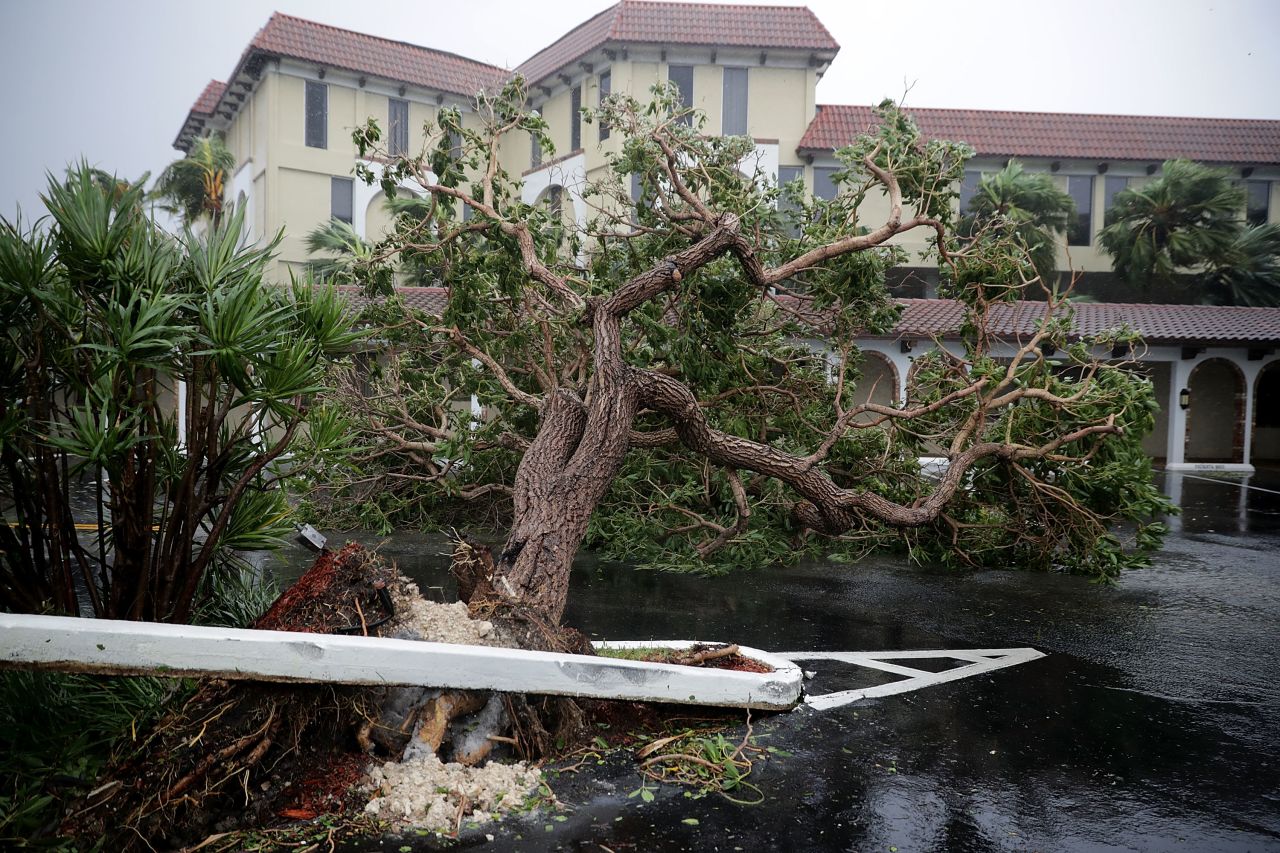 Fallen trees block a parking lot in Fort Lauderdale on September 10.