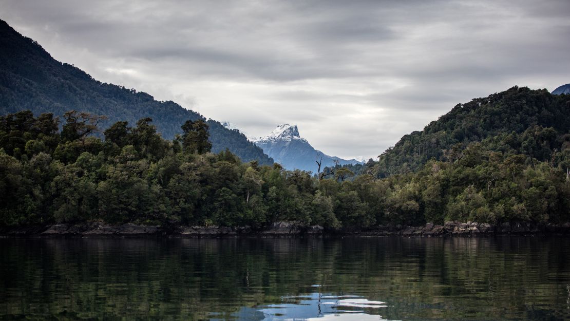 Mountain-rimmed fjords are among the stunning sights in Chile's newly dedicated Pumalin National Park, which the Tompkins' were instrumental in creating.