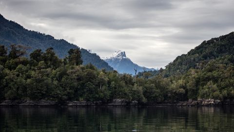 Mountain-rimmed fjords are among the stunning sights in Chile's newly dedicated Pumalin National Park, which the Tompkins' were instrumental in creating.