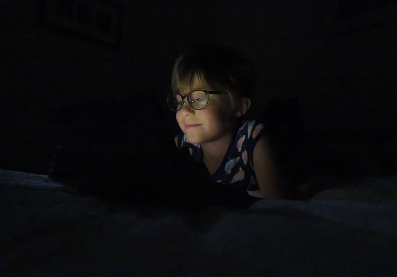 <strong>Low light:</strong> In tricky lighting setups the Canon PowerShot SX730HS produced images that were grainy when zoomed in.