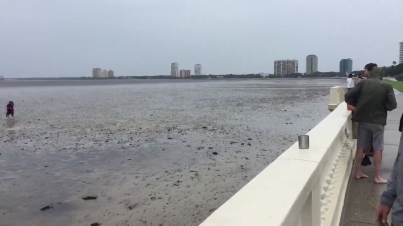 Storm surge brings water back to Tampa Bay