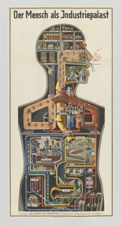 "Der Mensch als Industriepalast (Man as Industrial Palace)" from physician Fritz Kahn's 1926 volume "Das Leben des Menschen" ("The Life of Man") depicted the body's different systems as industrial processes. 