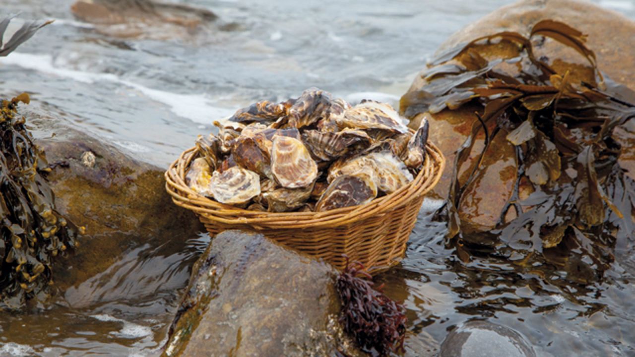 <strong>Sligo Food Trail:  </strong>This tour of the northwestern Ireland county offers a wide range of culinary experiences including sampling Sligo Bay oysters.