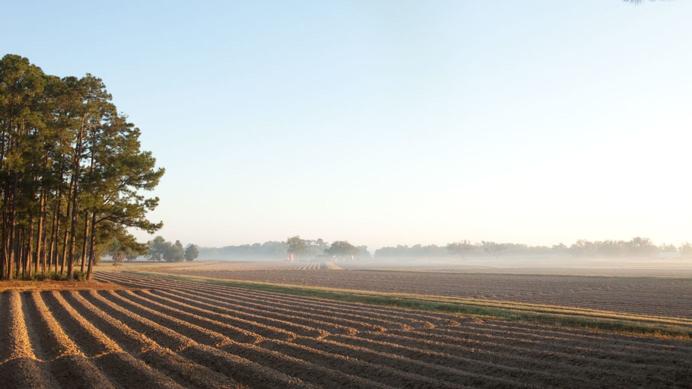Tabasco island Is this the hottest place in the world? CNN