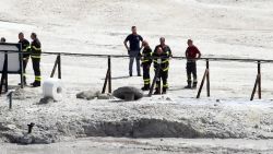 The coffin of  three people died in the crater stand under the green cloth at Pozzuoli, Naples, Italy, 12 settembre 2017. A couple and an 11-year-old boy have died at the Solfatara volcanic crater at Pozzuoli, near Naples, police said on Tuesday. Another child, aged seven, survived, the sources said. The woman was 42 and the man was 45.