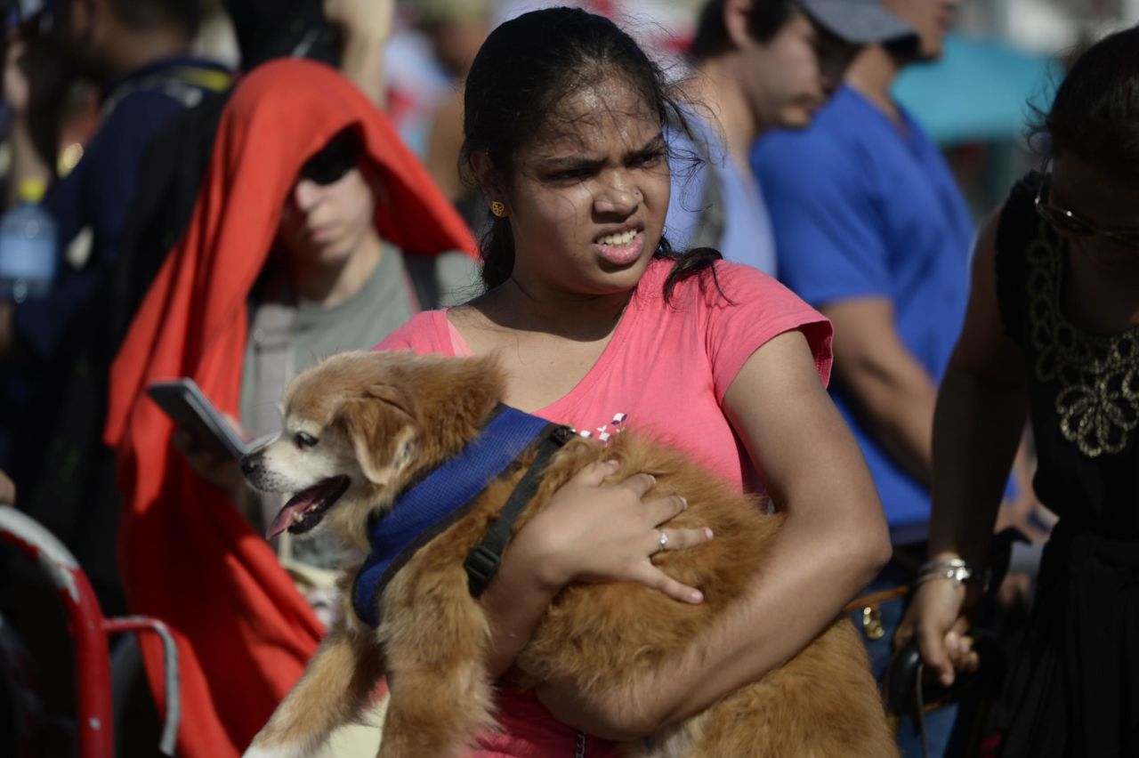 A woman carries a dog at an airport checkpoint in St. Martin on September 11.