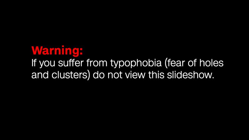 warning-typophobia-slate