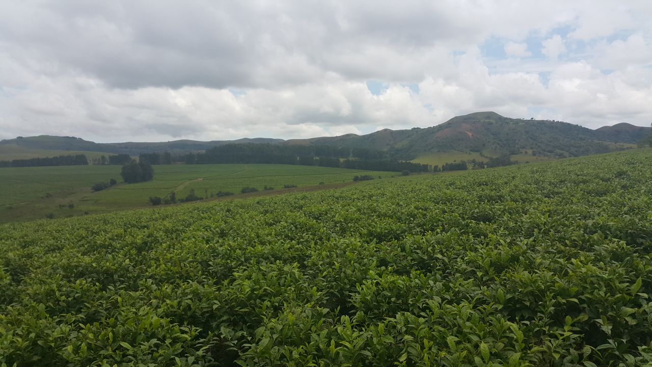 The Mambila Plateau in Taraba state. The project will cause considerable disruption and displacement, environmentalists warn.