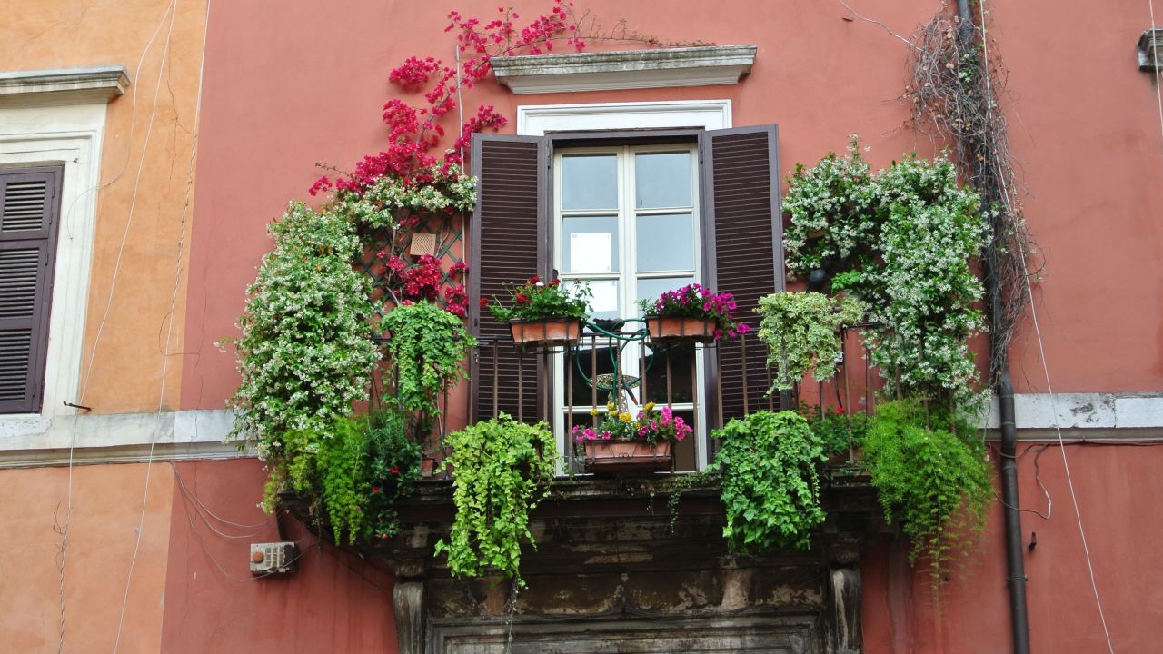 The sensory pleasures of Italy are everywhere.