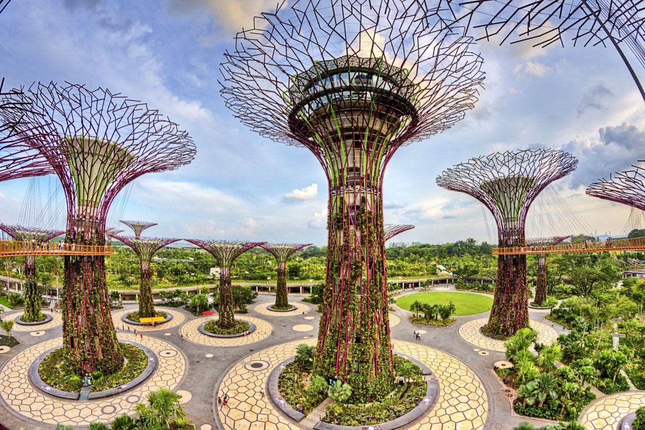 <strong>Supertrees: </strong>This 101-hectare wonderland provides a futuristic ecosystem full of aerial walkways above the canopies, lakes, sculpture parks and 164-foot-tall Supertrees -- vertical gardens that harvest solar energy.