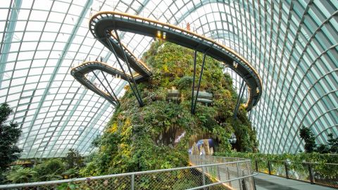 The Cloud Forest at Gardens by the Bay. 