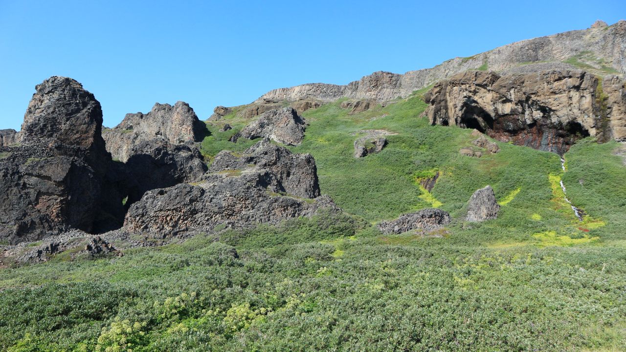 Atop the cliffs, the black rock flows into lush greenery with freshwater streams and plant life.