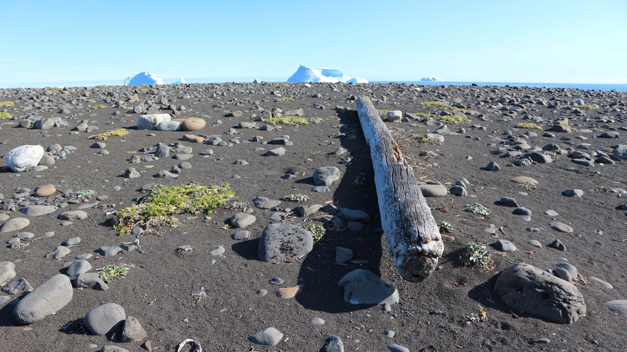The black beach of the valley is so pristine it feels like no one has ever left a footprint on it.