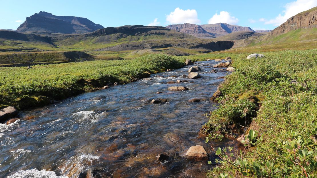 The greenery of the valley isn't grass, it's moss. And it feels spongy when you walk on it. 