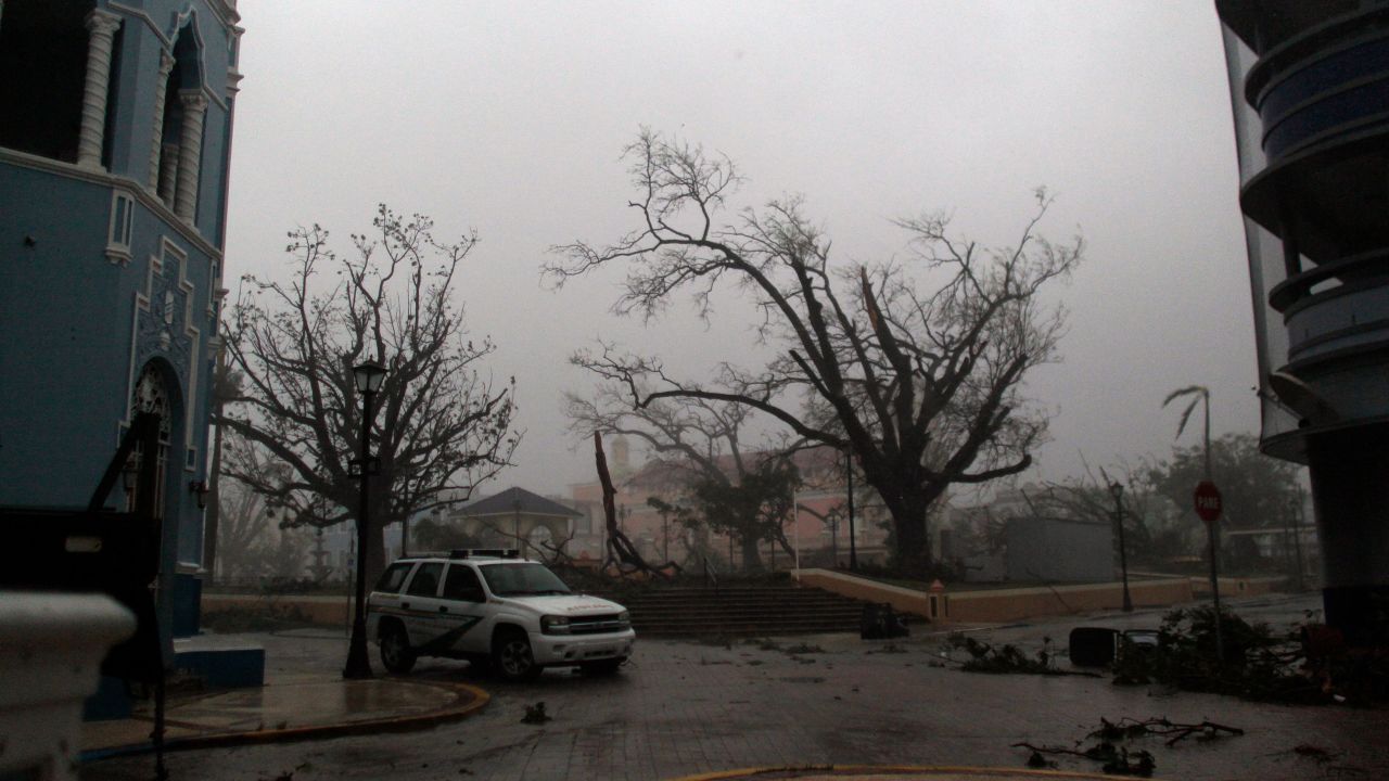 A tree is damaged in Fajardo, Puerto Rico, on September 20. 