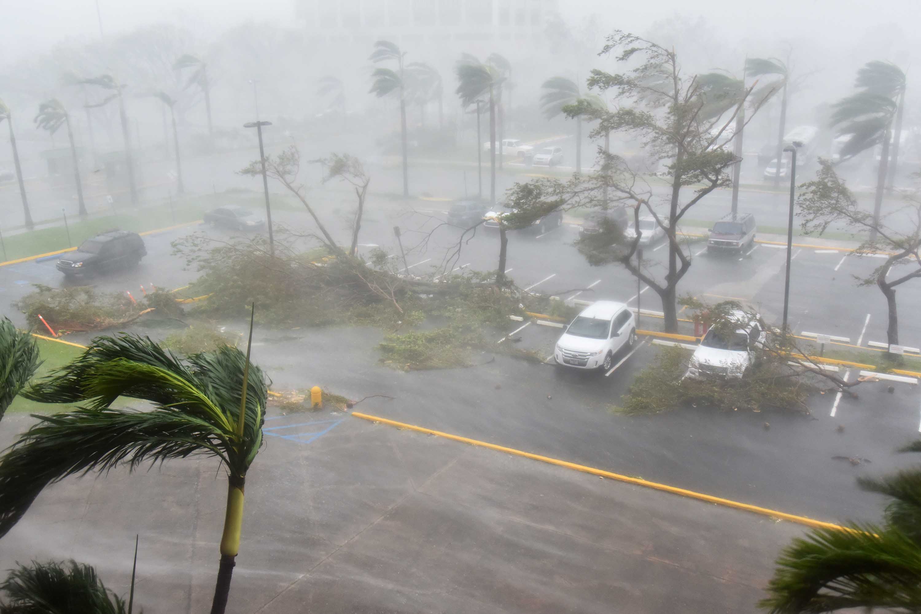 Hurricane Maria: 4,645 Died In Puerto Rico From Storm In 2017, Study Says :  Shots - Health News : NPR