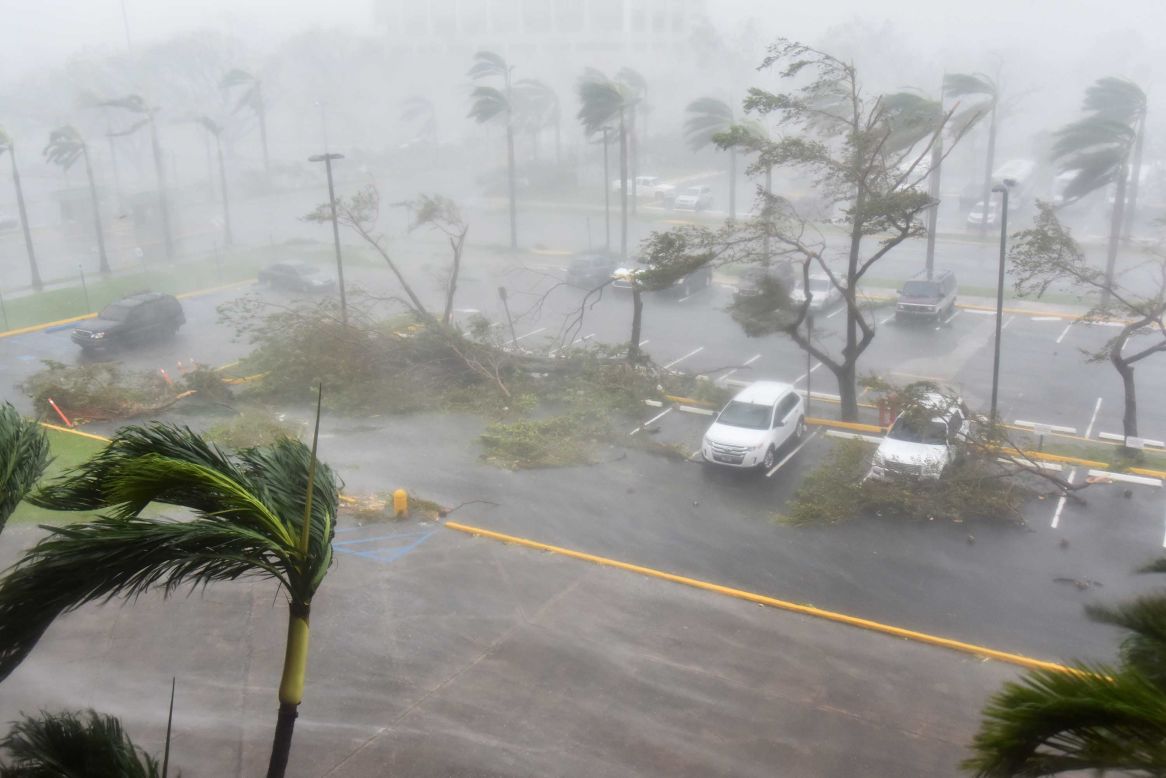 Trees are toppled outside the Roberto Clemente Coliseum in San Juan on September 20. 