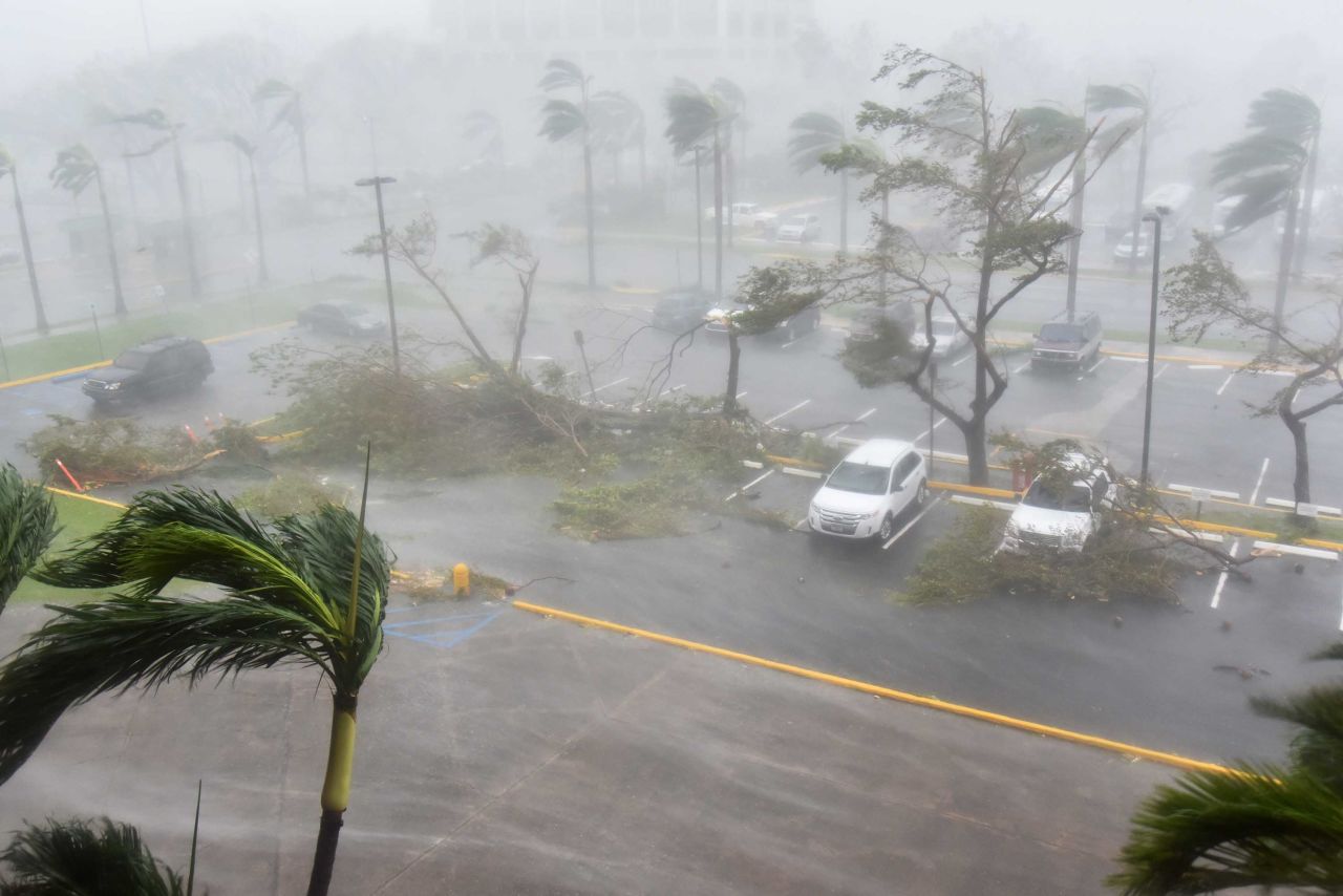 Trees are toppled outside the Roberto Clemente Coliseum in San Juan on September 20. 