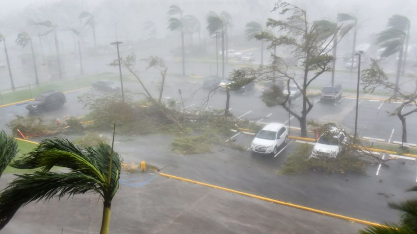 Trees are toppled in a parking lot at Roberto Clemente Coliseum in San Juan, Puerto Rico, on September 20, 2017, during the passage of the Hurricane Maria.
Maria made landfall on Puerto Rico on Wednesday, pummeling the US territory after already killing at least two people on its passage through the Caribbean. The US National Hurricane Center warned of "large and destructive waves" as Maria came ashore near Yabucoa on the southeast coast. / AFP PHOTO / HECTOR RETAMAL        (Photo credit should read HECTOR RETAMAL/AFP/Getty Images)