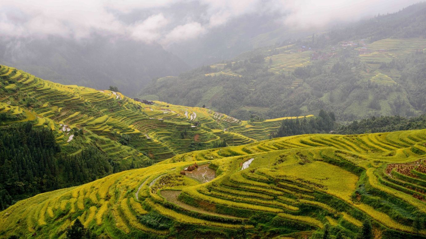<strong>Congjiang, China:</strong> The colors of the terraced fields of Congjiang, in southwest China's Guizhou Province, are at their best in the fall. <br />