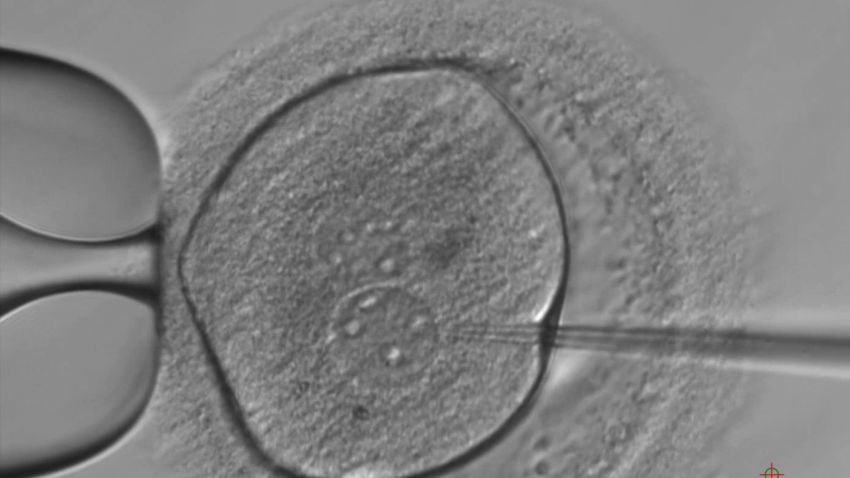 'Embryo microinjection' shows an embryo being injected with the CRISPR/Cas9 components